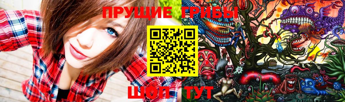 Галлюциногенные грибы Psilocybine cubensis Мирный